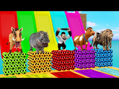 Long Slide Game With Cow Elephant Gorilla Lion Pig T-Rex - Funny 3d Animals - 3d Animal Game