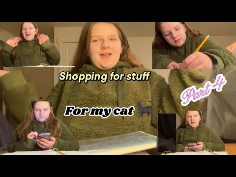 Shopping for my Cat 🐈‍⬛ (getting ready for a cat)