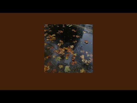 rainy autumn day playlist 🍂