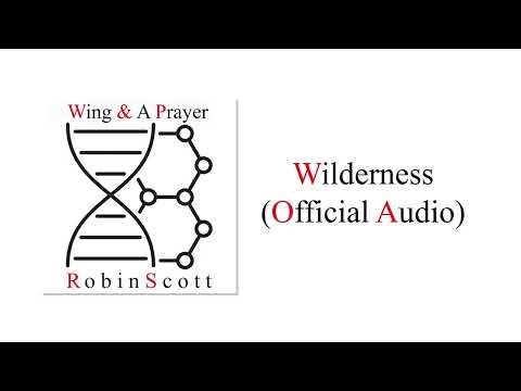 Robin Scott - Wilderness (Official Audio)