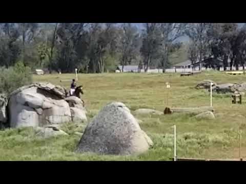 Irish cross country jumping