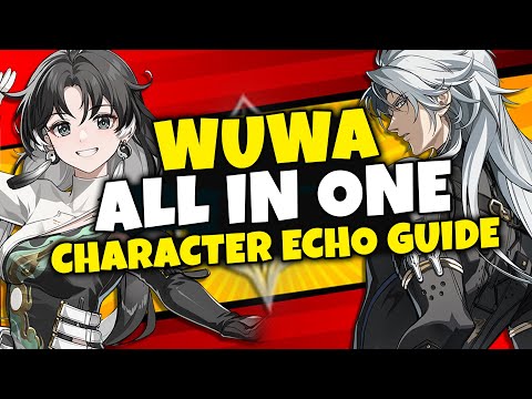 BEST ECHO GUIDE FOR ALL CHARACTERS IN WUTHERING WAVE