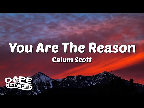 Calum Scott - You Are The Reason (Lyrics)