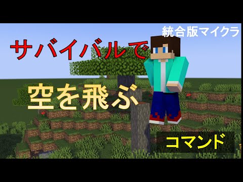 【コマンド】サバイバルで空を駆けよう！【マイクラBE(Win10,Xbox,Switch,PE,PS4)】