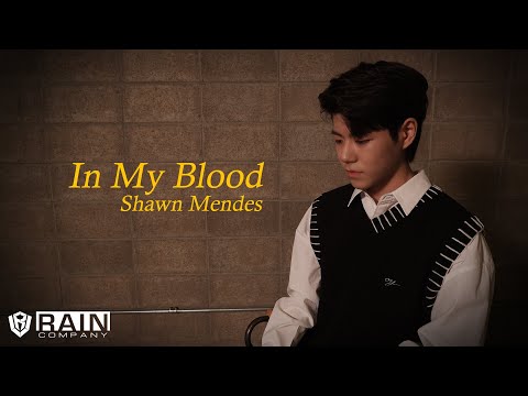 싸이퍼(Ciipher) 도환 'Shawn Mendes - In My Blood' Cover (Arranged by 케이타)