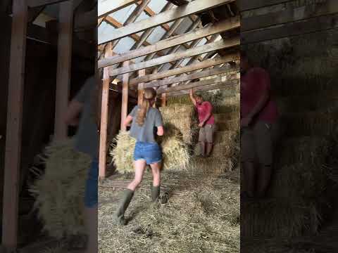 Let's stack some hay! #farmlife #hay #farmchores #farmlifestyle