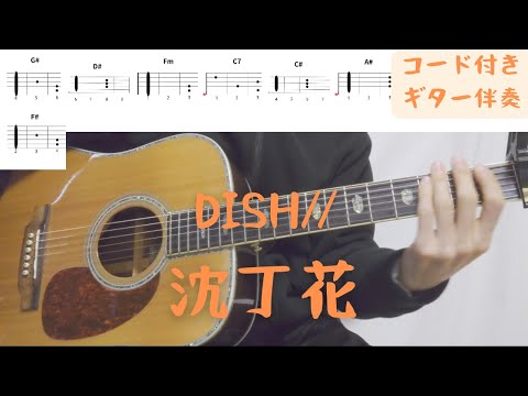 【ギターコード付き】DISH//　沈丁花【アコギ弾いてみた】