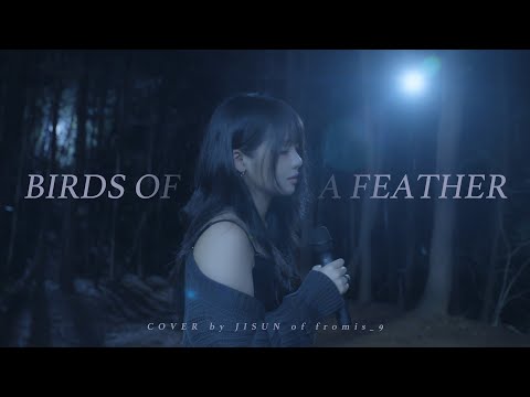 [fl▶ylist] ‘Billie Eilish - BIRDS OF A FEATHER’ cover by 지선