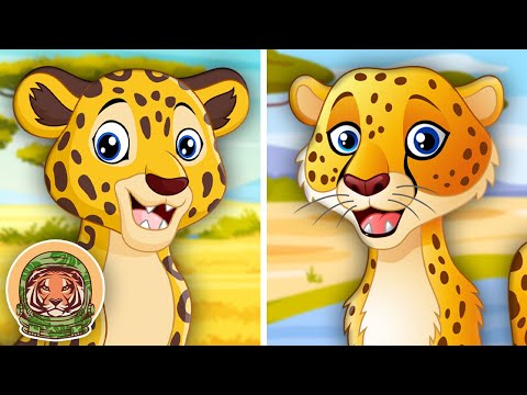 Can YOU Spot The Difference Between Leopards & Jaguars? | Animal Songs For Kids | KLT WILD