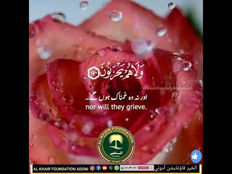 #Quran short clip #alkhairfoundationadoni #alkhair #alkhairfoundationadoni #alkhair