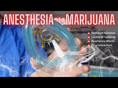 Patients shouldn't lie about marijuana to their anesthesiologist