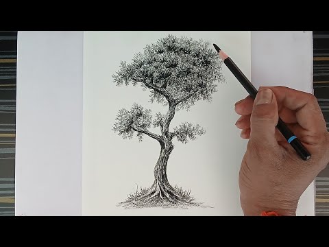 GP Like is live / How to draw a tree by pencil for beginners.