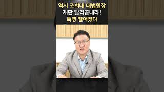 속전속결 조희대 대법원장의 특명!ㅣ서정욱 쇼츠ㅣ서정욱TV