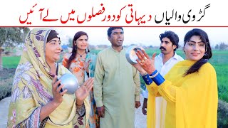 | Ramzi,Noori, Bilo ,Bhootna,Shoki, Sanam, Falak Sher,Funny Video  Rachnavi Tv