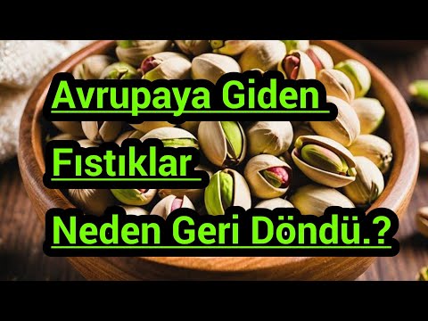 Avrupaya Giden Fıstıklar Neden Geri Döndü.?