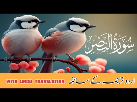 surah  An Nasr  tarjuma ke sath | Quranic Light Tv urdu translation | #quran