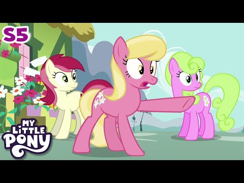 My Little Pony | Slice of Life | FULL EPISODE | Friendship Is Magic Season 5