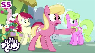 My Little Pony | Slice of Life | FULL EPISODE | Friendship Is Magic Season 5