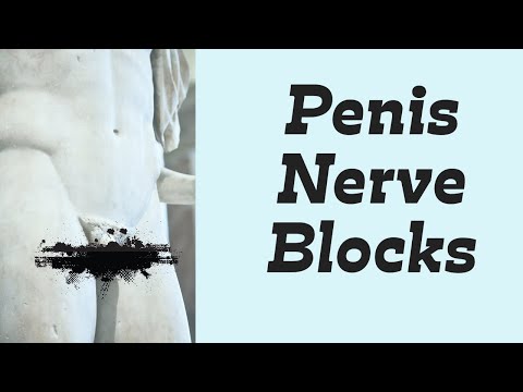 Penile Nerve Blocks