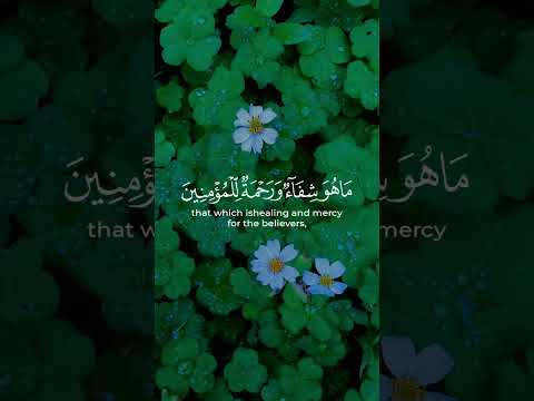 القارئ رعد الكردي 🤍 #quran #ضع_السماعات_أغلق_عينيك_واستمع #تلاوة_هادئة