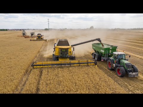 Harvest Nesvady SK | Green Perard Interbenne 27 & Fendt 930 TMS