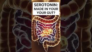 Serotonin: Made in Your Gut?