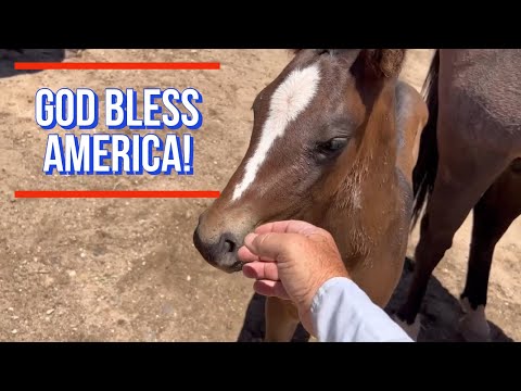 JULY 4TH CELEBRATION | SHOWING SKIN AND GETTING WET ON THE RANCH #jheart #4thofjuly #watertrough