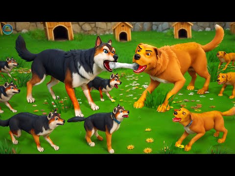 Dogs Fighting over Bone! 🐕🦴️ Funniest Dogs Videos Compilation | Animal Kingdom Fights 2024