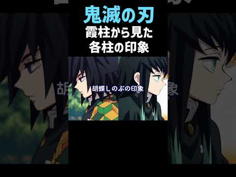 霞柱・時透無一郎から見た柱（時透無一郎・胡蝶しのぶ）の印象