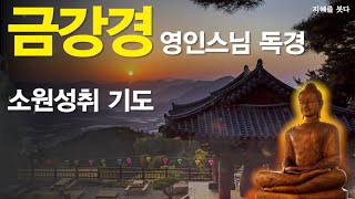 금강경 독송 [영인스님] 금강반야바라밀경(金剛般若波羅蜜經) 하루 1번! 소원이 실현되는 건강,부자,성공,풍요,행운,행복,재물,소원성취 행운 l 오디오북 - 지혜를 붓다