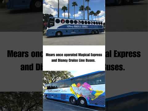 Is Magical Express making a comeback soon?