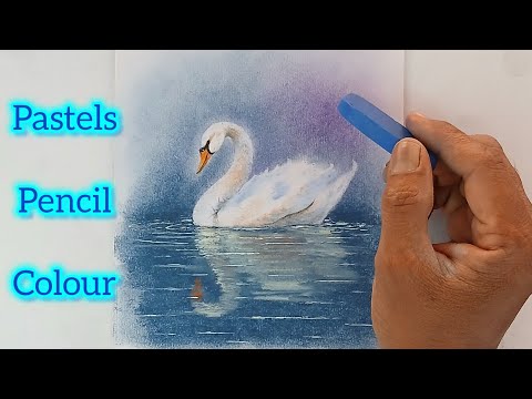 A Swan drawing by colour pencils and soft pastel colours.