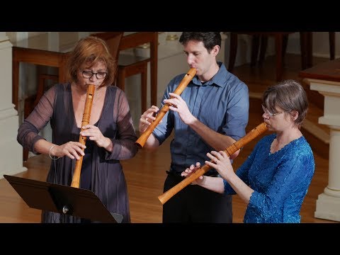 O Virgo Splendens (Llibre Vermell de Montserrat) Andrew, Hanneke & Saskia, tenor recorders