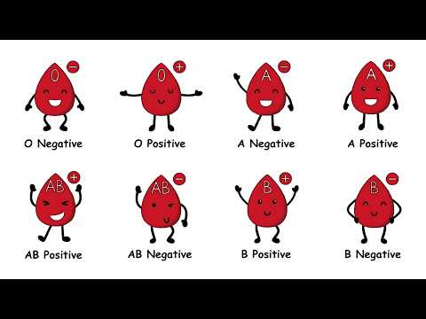 Every Blood Type Explained in 8 Minutes