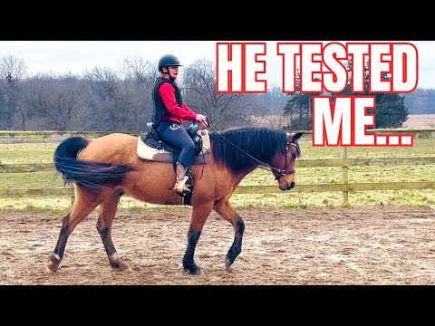 FINALLY! FIRST RIDE At Home On My NEW Horse