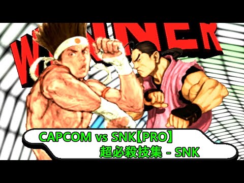 CAPCOM vs SNK【PRO】 Special Move Collection 01