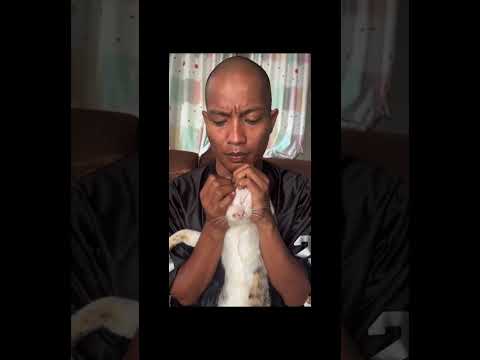 babu salah kretek #cat #catlover #cats #catvideos #memes #memesdaily #funny #viralvideo #shorts