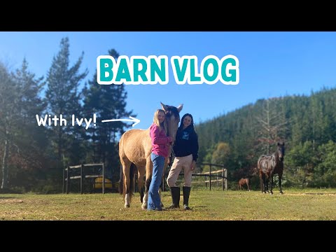 BARN VLOG with Ivy + Donk gets a MAKEOVER!