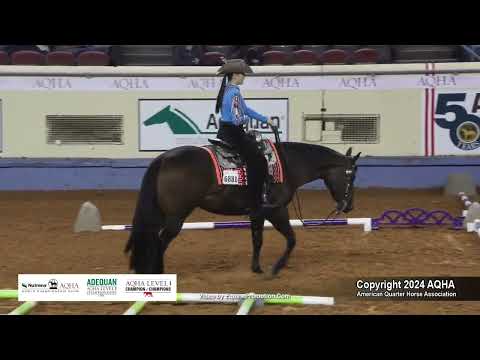 Amateur Trail - 2024 AQHA World Championship Show