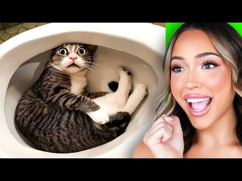 Funniest Animals Ever!