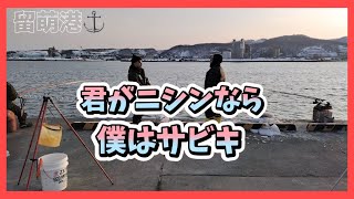 撮れ高0を動画にする方法が存在するのだ！