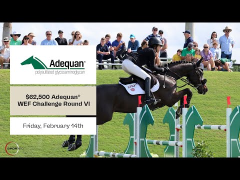 Watch round 6 of the $62,500 Adequan CSI3* WEF Challenge Cup.