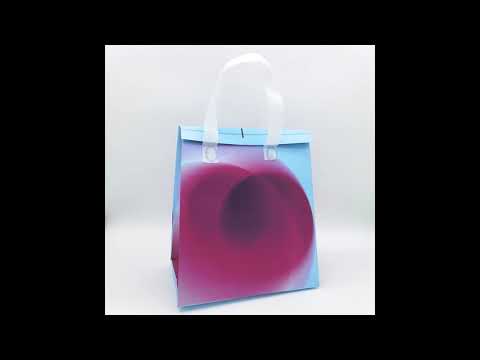 Colored Non Woven Tote Shopping Bag  Directly Manufacturer Cooler Insulation Bag