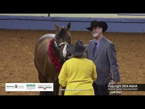 Select Performance Halter Stallions - 2024 AQHA World Championship Show