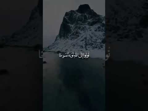 يا ايها الذين امنوا