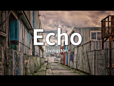 머릿속에서 펼쳐지는 한 편의 영화 :Livingston - Echo [가사/lyrics/해석]