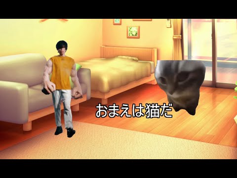 米津玄師さん猫説