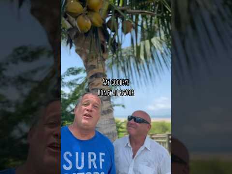 It’s DREW and Me Baby in the Coconut Trees #newmusic #sisterhazel #countrymusic #beach