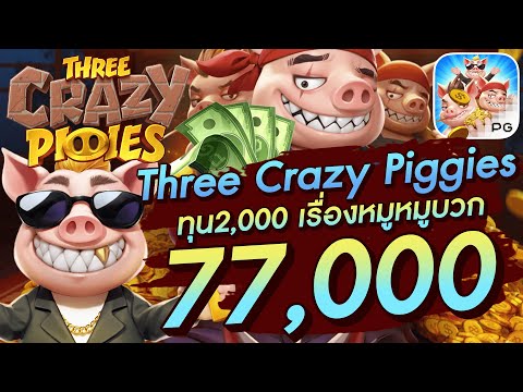 สล็อตเว็บตรง สล็อตpg สล็อตแตกง่าย Three Crazy Piggies ทุน2,000 เรื่องหมูหมูบวก 77,000