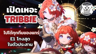 เปิดเหอะ Tribbie ที่มี E1 แบบ Promax แต่ถ้ามีประสาน5ดาว2ตัวแล้วคิดดีๆก่อน l Honkai Star Rail